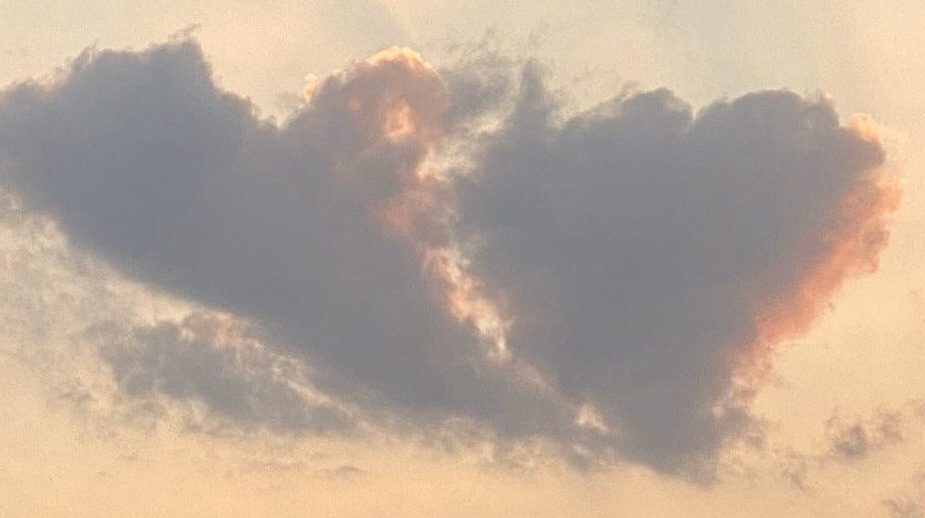 Baumriese im Sonnenaufgang_Outdoor Coaching